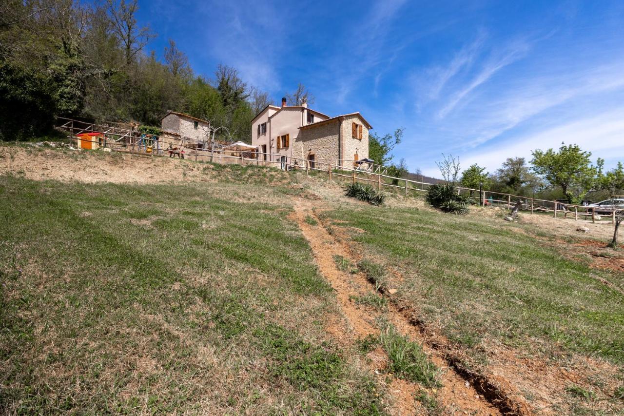 Podere Del Ciacchi Among Tuscany Greenery - Happy Rentals Montieri Exterior photo